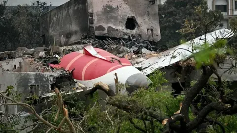 Next of kin of the Air India crash those lost file lawsuit aerospace companies Boeing and Honeywell