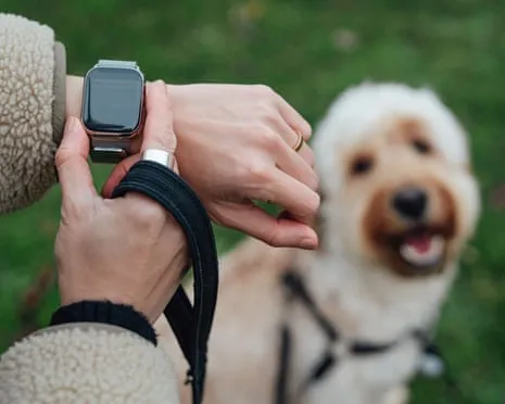 The Truth About Wearable Tech? Daily Existence Improves Without a Bossy Zealot on Your Wristwear